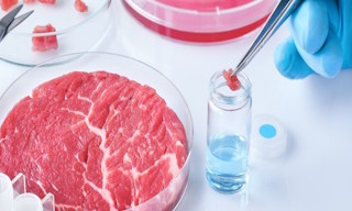 Лабораторный анализ пищевых продуктов по СанПиН в Новосибирске в октябре