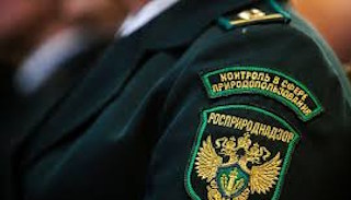 Подготовка к проверке Росприроднадзора в Новосибирске от ПромМир, стоимость услуги от 20332 руб.